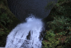 naturepunk:  Multnomah Falls, OR. Images by NaturePunk. 
