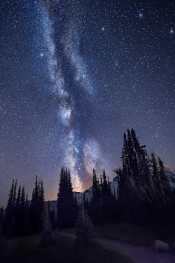 e4rthy:  Spires - Mount Rainier, Washington by Dave Morrow 