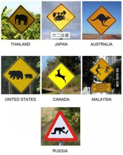 9gag:  Different road signs 