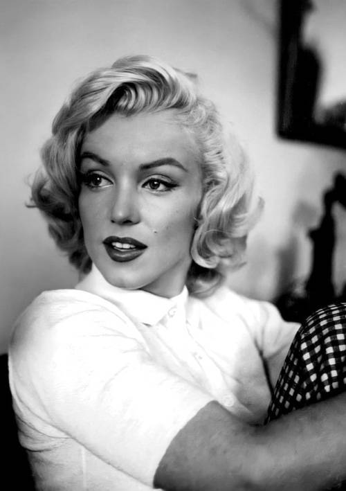 Marilyn Monroe by John VachonNudes & Noises  