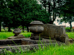 reynard1884:  Urn - Cleethorpes Cemetery 