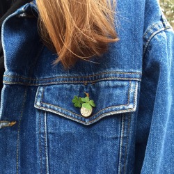 grievely:my little clovers