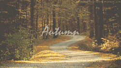 francinesplace:  the-more-u-know:  Don’t you just love Autumn?