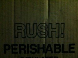 hoof-beats-from-the-hill:  Box reminding me of the inevitability