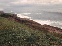 leaberphotos:  overcast ocean days ( jan. 2016 ) 