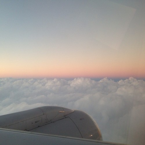 Perfect sunset while flying right above the clouds ðŸ’ºâœˆâœŒ#california #connectingflight #la #flight #plane #sunset #speechless #clouds