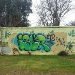 suicidegrrrl:  Drop science #isor #Graff #Graffiti #StreetArt