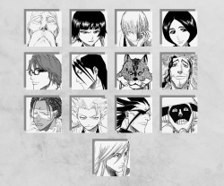 crimsonxblaze: gotei 13 captains: then and now #celebratingbleach