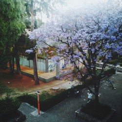 ©DESPUÉS DE LA TORMENTA, VIENE…SIGUE LLOVIENDO® 