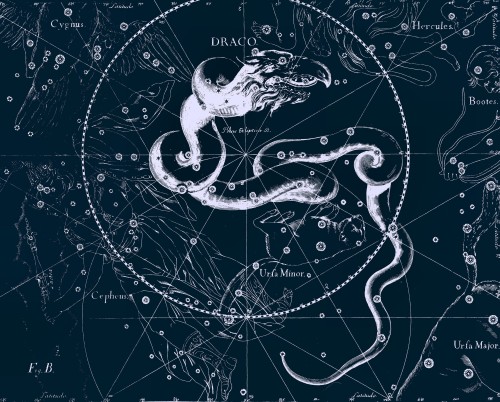 friendly-laser: Johannes Hevelius.Â “Uranographia: totum caelum stellatum."Â 1687. Andromeda, Aquaris, Aquila, Bootes, Cassiopeia, Draco, Pegasus, Orion 