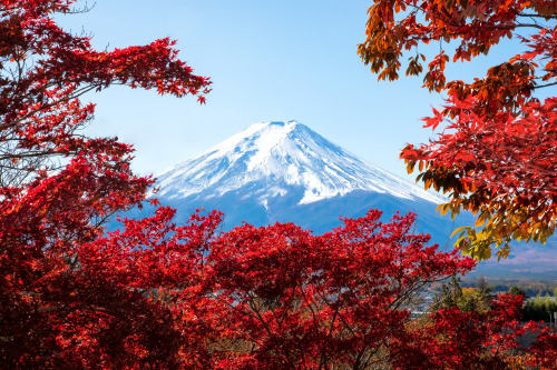 expressions-of-nature:  Mount Fuji, Japan by Alexandr Ignatyev