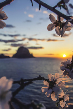 teenageers:  Ibiza Sunset ~ By Jose Antonio Hervas