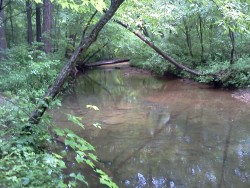 Some photos from today’s hike. Yes, I know i took a few really