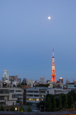 fuckyeahjapanandkorea:  Moon over Tokyo Tower by architecturegeek 