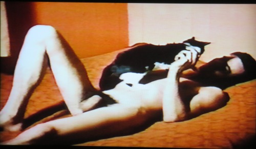 omgcatrevolution:  Pat Rocco, The Luckiest Cat in Town, part of Mondo Rocco omnibus program (1970) Bringin’ the sexxy back to tumblr, radical-cat style! We are delighted to share this lost slice of film history, otherwise nowhere on the interwebz
