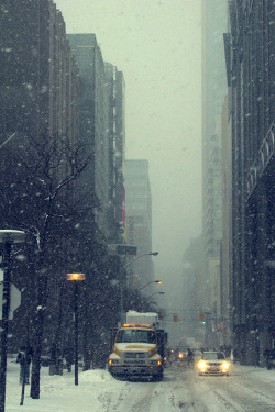 plasmatics-life:  Snowfall in Toronto ~ By Ekaterina Aristova