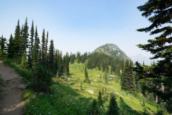 90377:Washington Hikes - Maple Pass Loop by clauretano