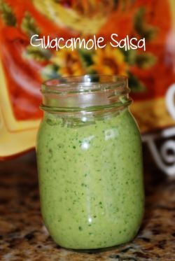 veganinspo:  Guacamole Salsa  I would put this on ~everything~
