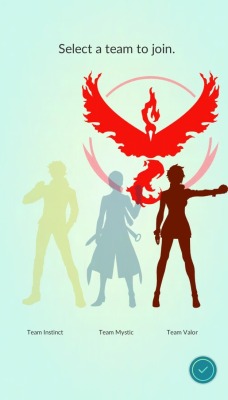 ccpokemonmaster:  Reblog this if you’re Team Valor Team InstinctTeam