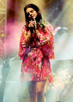 pinupgalore-lanadelrey:  Lana Del Rey performing at Hollywood