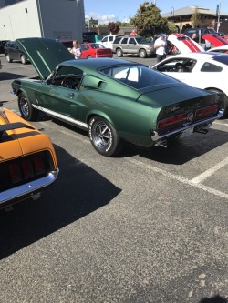 Some beauties from the mustang show today 😍
