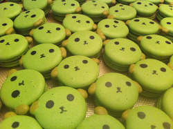 anpanstakeout:  Mameshiba macaroons :) 