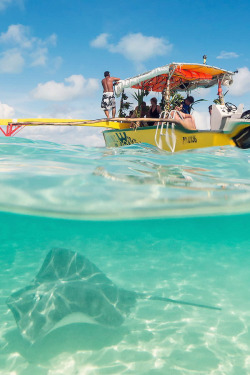 alecsgrg:  Bora Bora, French Polynesia | ( by  Jesse Estes )