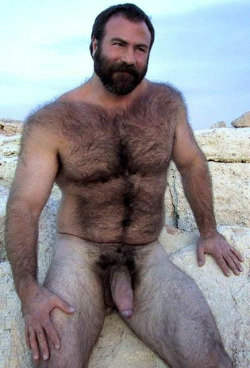 www-lovebears78:  barebearx:  randydave69:  Hairy man has a BIG