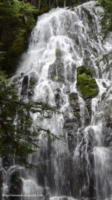connie-awanderingsoul:  Ramona Falls, Mount Hood, Oregon 