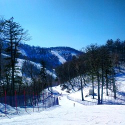 n9nlinear:  Backside #china #jilin #changbaishan #wanda #ski