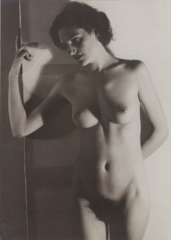 theblackcatzon:  realityayslum: Florence Henri  Line Viala, Nude 1934 More nudes by Florence Henry courtesy of La Petite Mélancolie (WordPress) 