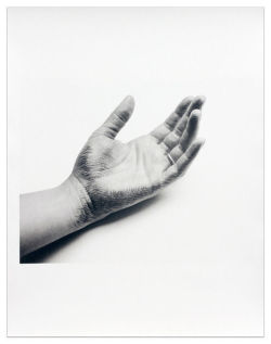 Liliana PorterUntitled (hand with cross hatch drawing and ring),