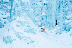 ryanmcginley:  Plotter Kill Storm, 2015