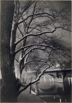 onlyoldphotography:  Brassaï: Les arbres des quais avec le Pont-Neuf,