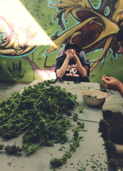 top-choice:  Lightin one up during the trim sesh 