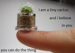 naturallybohemian:  This motivated me to study. Thanks tiny cactus.