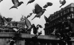 film-cult: La Jetée (1962) dir. by Chris Marker 