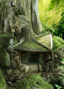 heyfiki:  Tree House in the Forest