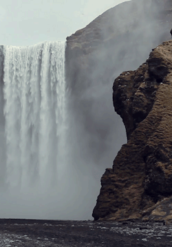 areweevenalive:  ☯ † Are We Even Alive † ☯  
