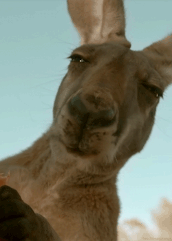gif-guy:  http://gif-guy.tumblr.com/