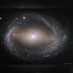 Spiral Galaxy NGC 1512: The Inner Ring #nasa #apod #esa #hubblespacetelescope