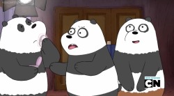 awkwardwebarebearsscreencaps:  r there any other pandas i should