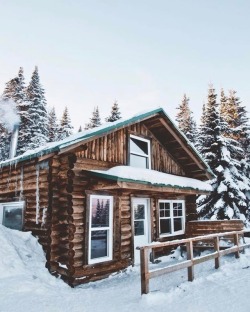 pieceofwilderness:  Love this! 😍 would you stay here? 🌲