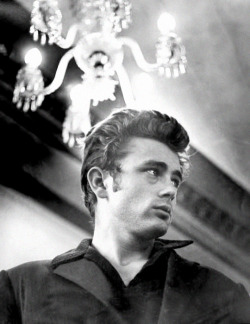 jamesdeaner:  James Dean photographed by Roy Schatt, 1954.  