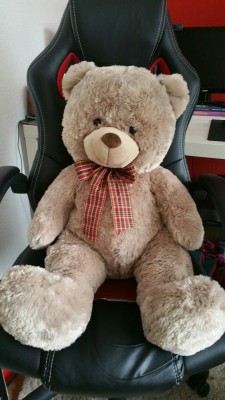 littelkittenme:  Daddy bought me one giant teddy…it’s so