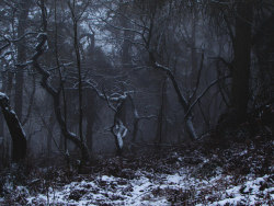 winterfellis:  untitled by jorrymun on Flickr. 