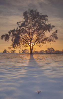 mystic-revelations:  Winter Sunset (by peterspencer49) 