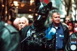 pupbolt:  Just found another picture of me at Folsom Europe last