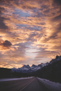 teapalm:  (Tasha Marie) | Sunrise over Rockies 