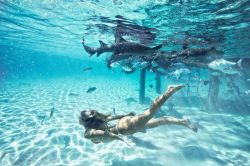 apodyoopsis:  baliviibes:  🌊B A L I V I I B E S🌊  Tropical